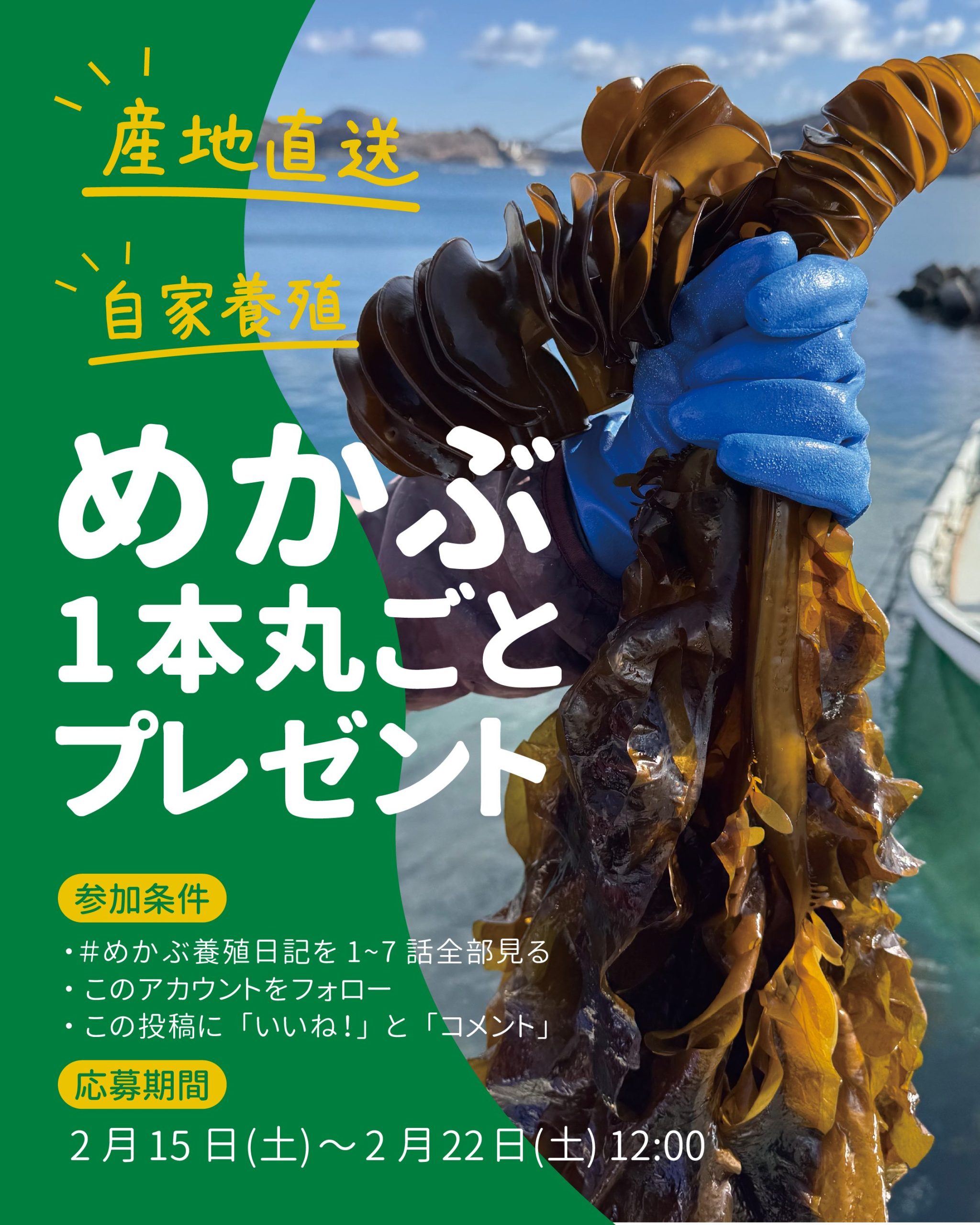 【中古】 上級グルメへの招待/平凡社/佐原秋生